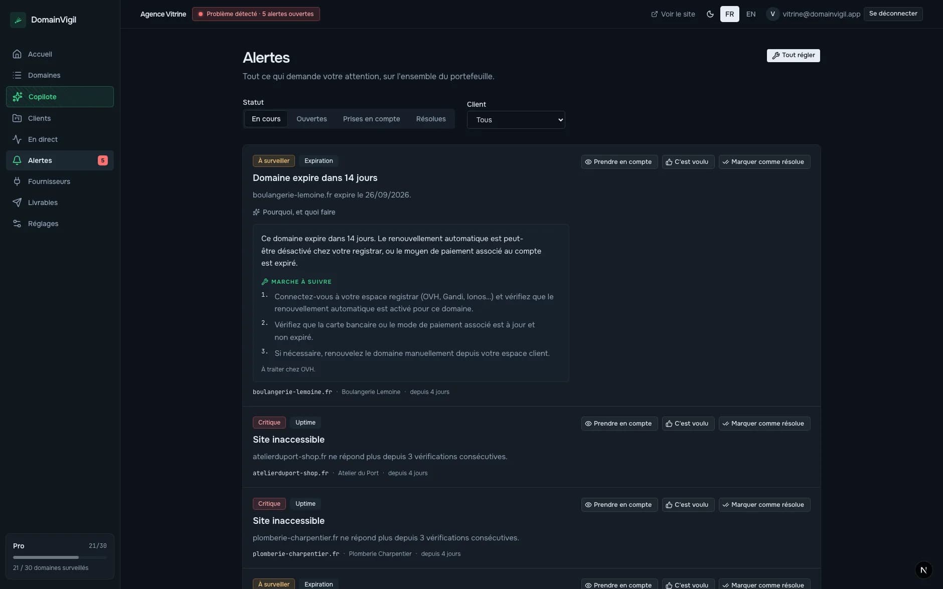 L'écran des alertes de DomainVigil, avec le diagnostic du copilote déplié sous une alerte d'expiration.