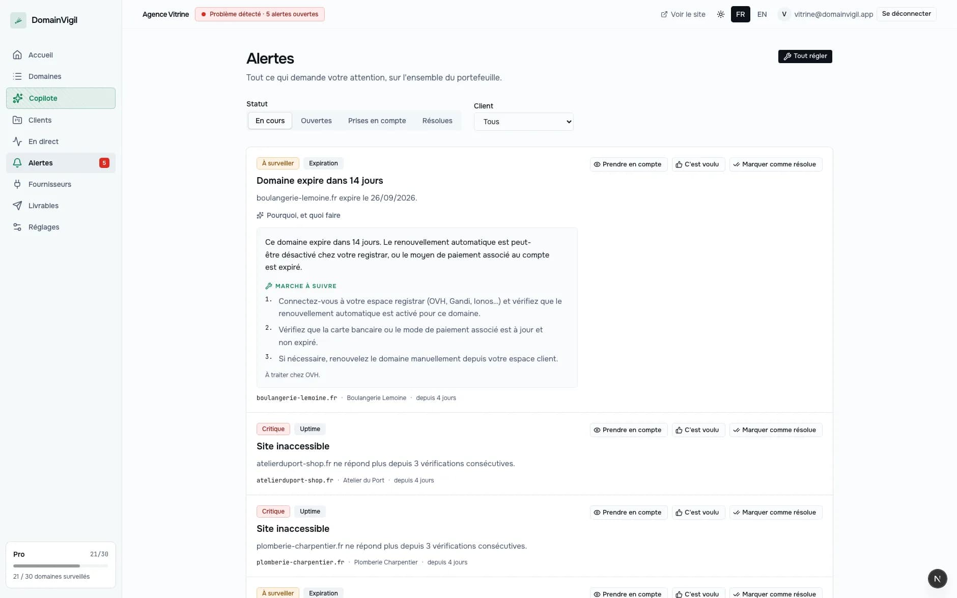 L'écran des alertes de DomainVigil, avec le diagnostic du copilote déplié sous une alerte d'expiration.